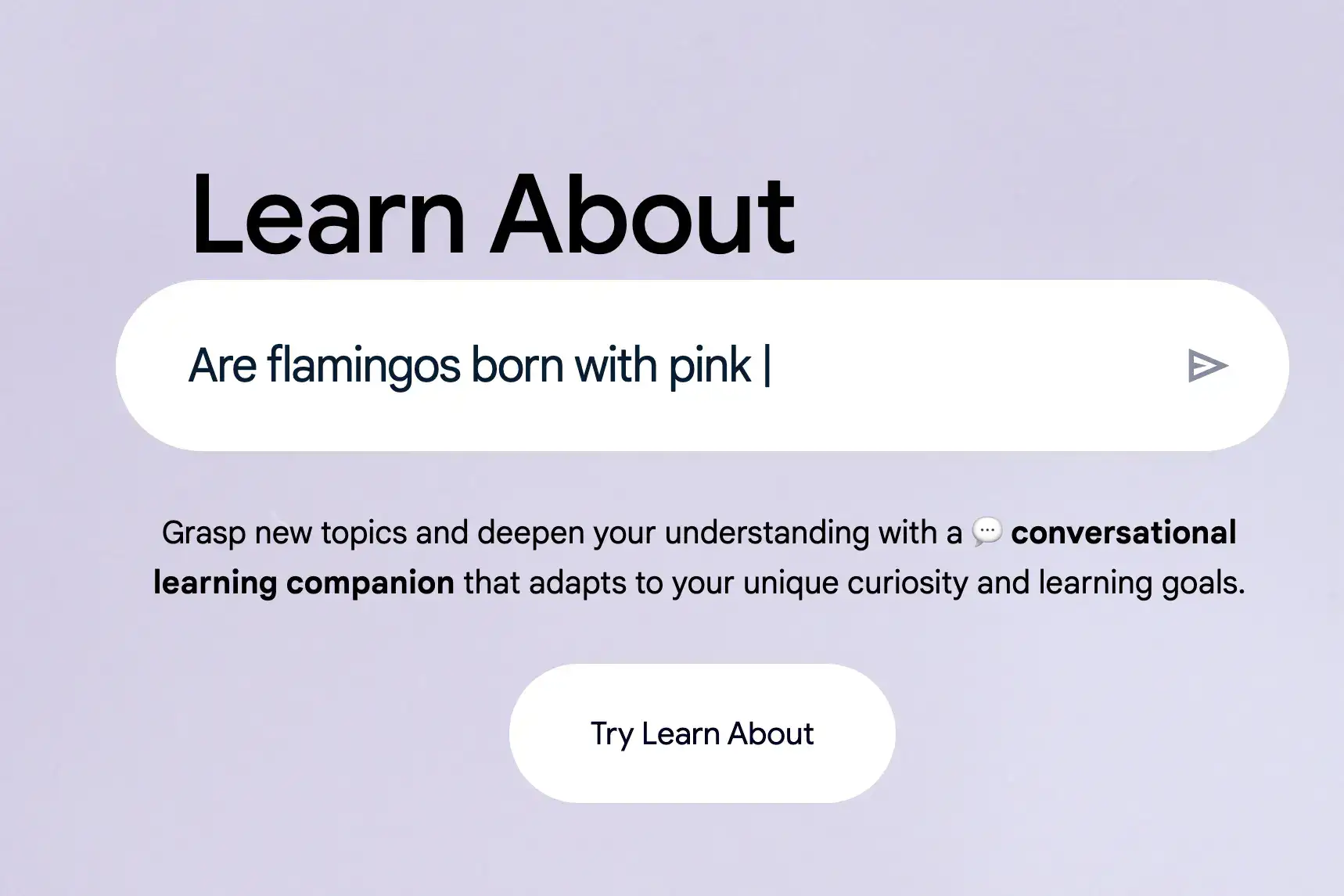 google-learning.webp
